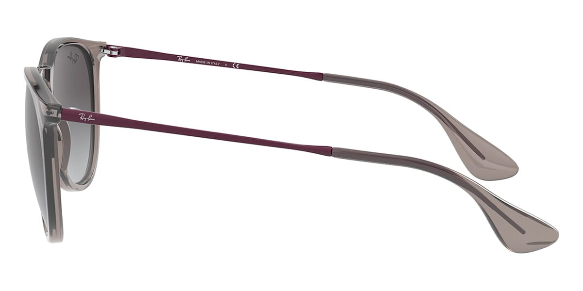Ray-Ban Erika RB4171