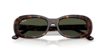 Ray-Ban RB2221