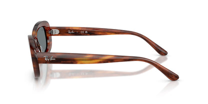 Ray-Ban RB2221