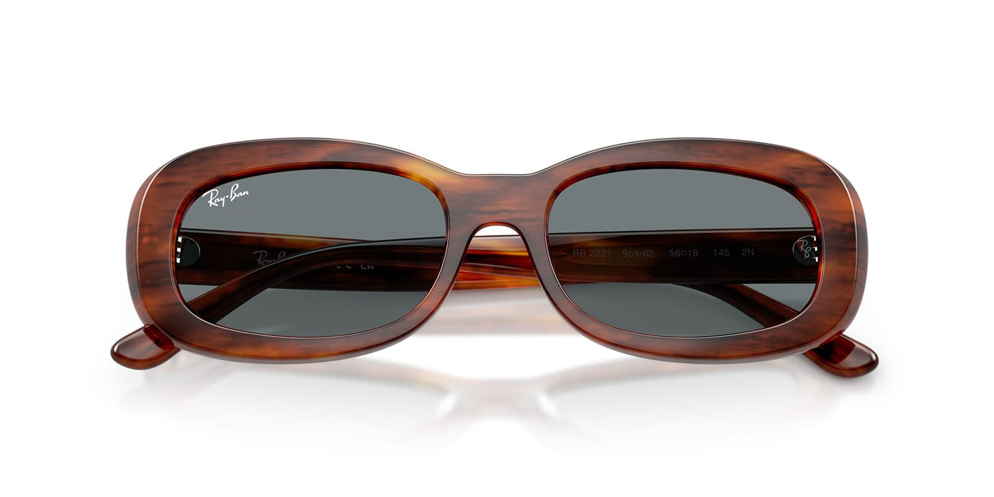 Ray-Ban RB2221