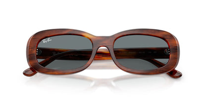 Ray-Ban RB2221