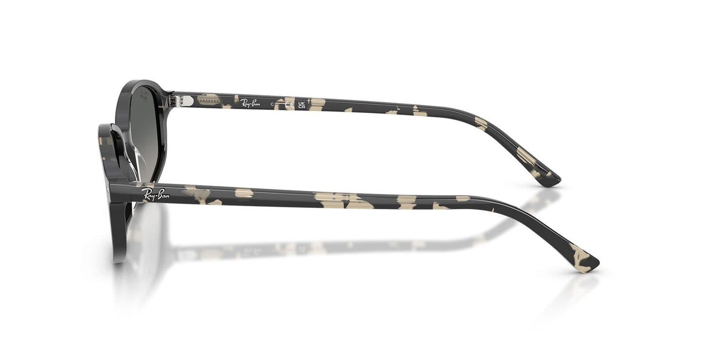 Ray-Ban RB2232