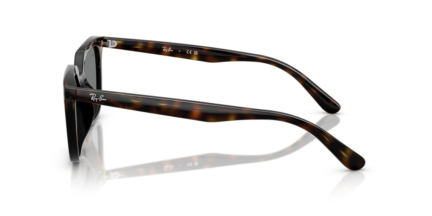 Ray-Ban RB4439D