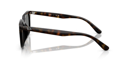 Ray-Ban RB4439D