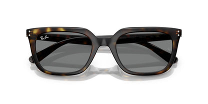 Ray-Ban RB4439D