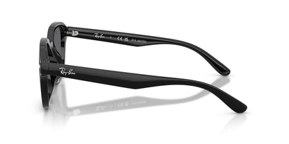 Ray-Ban RB4458D