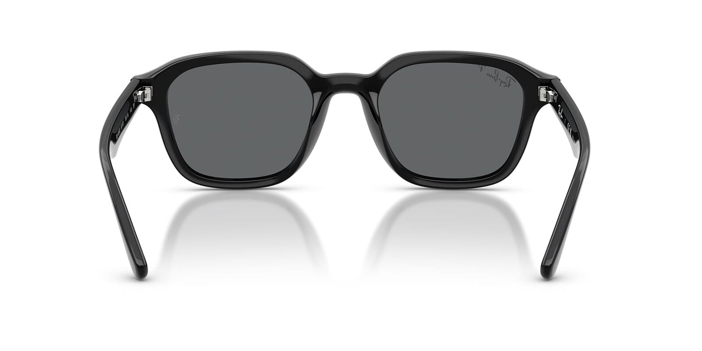 Ray-Ban RB4458D