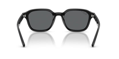 Ray-Ban RB4458D
