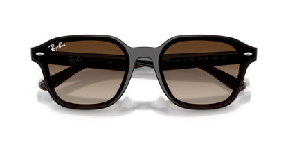 Ray-Ban RB4458D