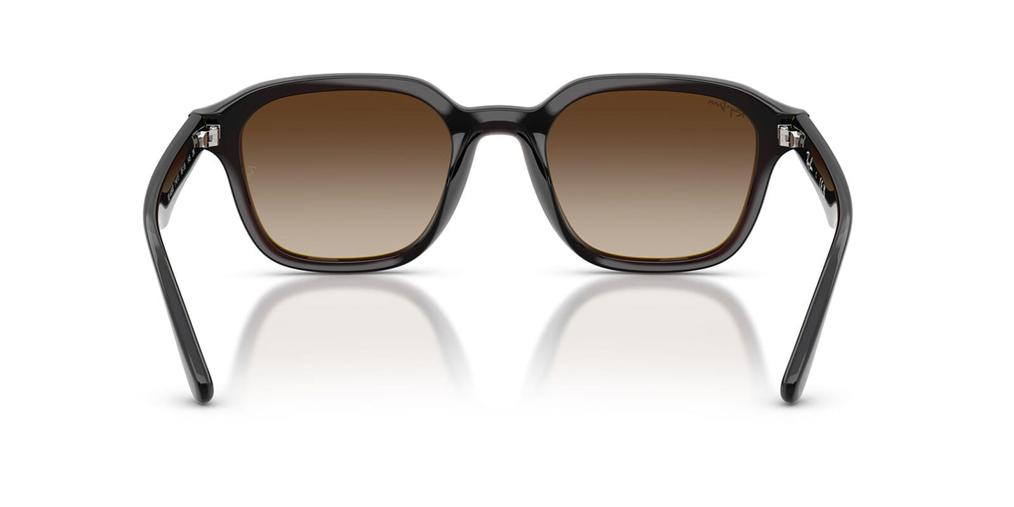 Ray-Ban RB4458D
