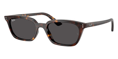 Ray-Ban Zaya RB4456#colour_havana-dark-grey