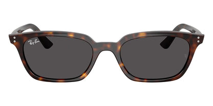 Ray-Ban Zaya RB4456