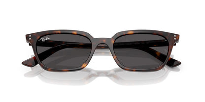 Ray-Ban Zaya RB4456