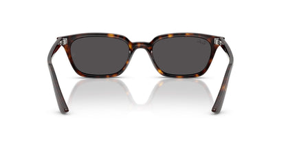 Ray-Ban Zaya RB4456