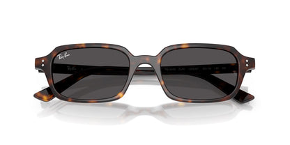 Ray-Ban Zuri RB4455