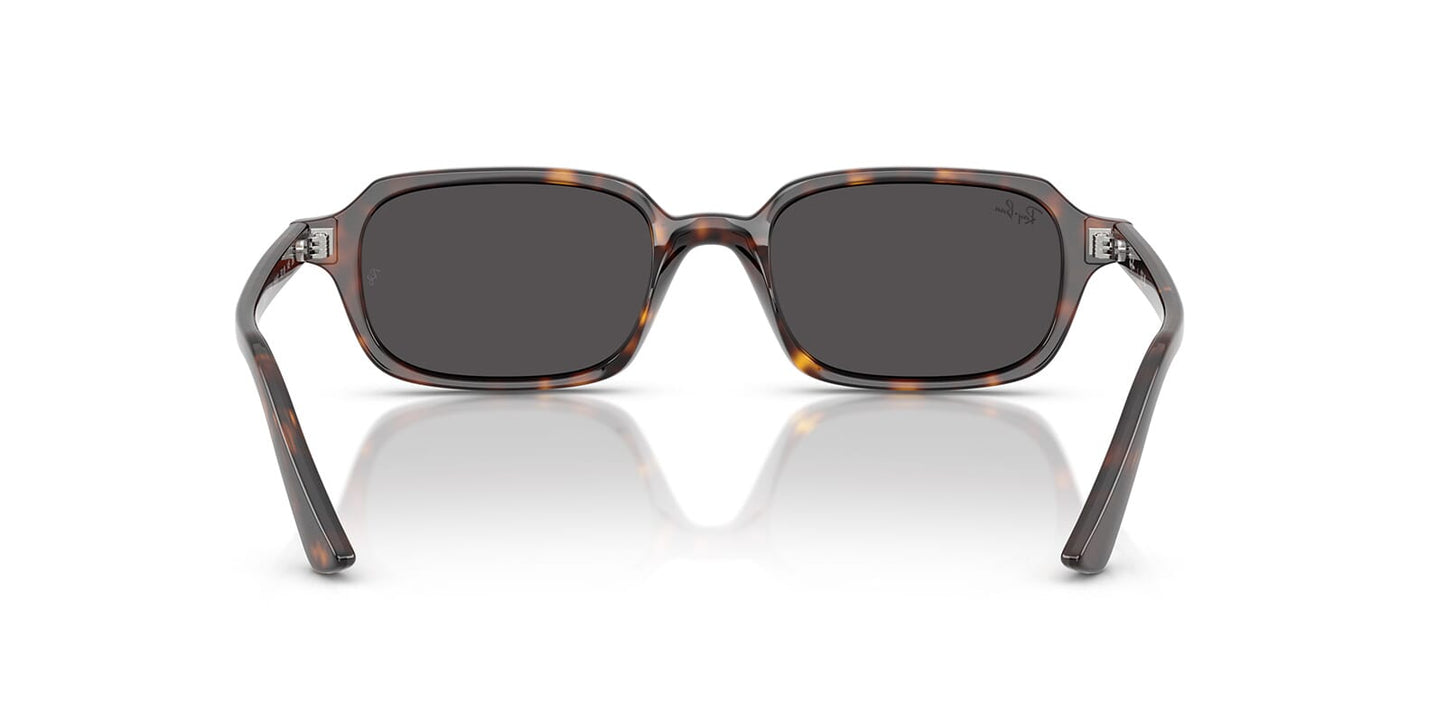 Ray-Ban Zuri RB4455